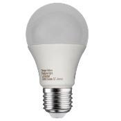 LOT DE 10 Ampoules LED culot E27 lumière noire - E27 - 6W